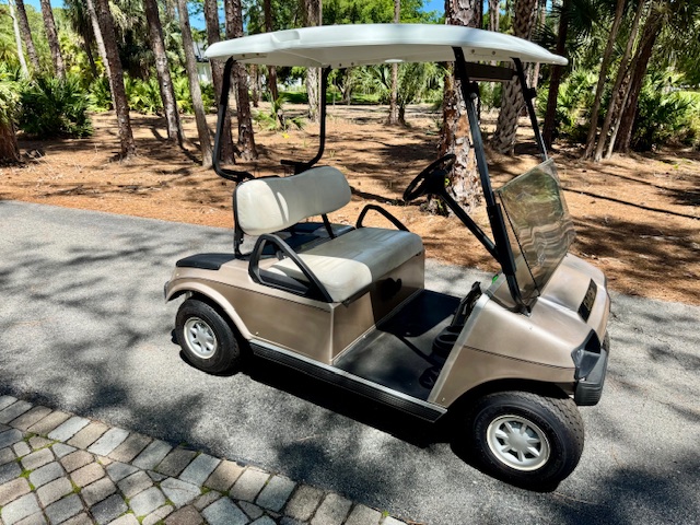 2002 Club Car DS "IQ"