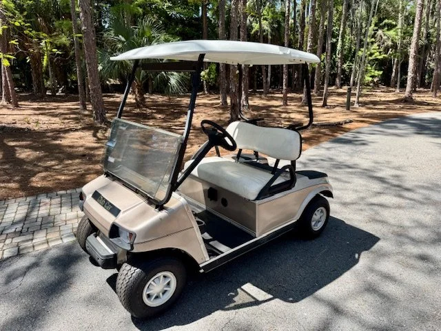 2002 Club Car DS "IQ"