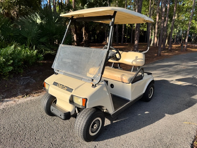 2010 EZGO RXV
