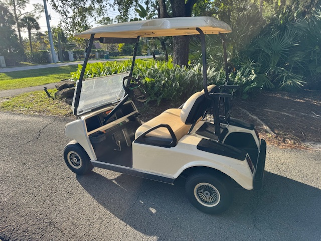 2010 EZGO RXV