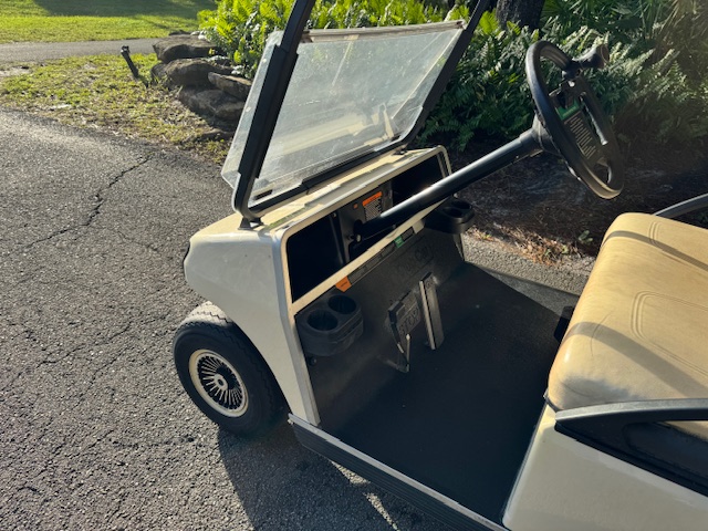 2010 EZGO RXV