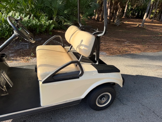 2010 EZGO RXV