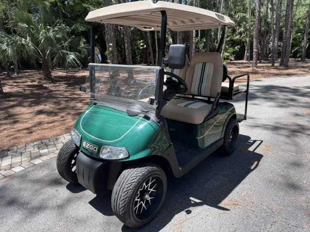 2010 EZGO RXV