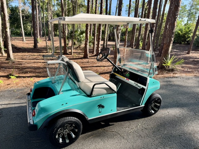 2015 EZGO RXV W/Brand New Batteries