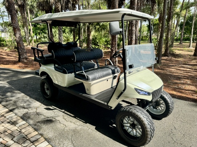 2021 EZGO TXT Storm Edition