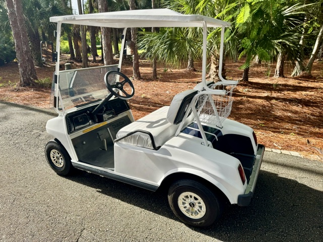 Club Car DS With New Batteries
